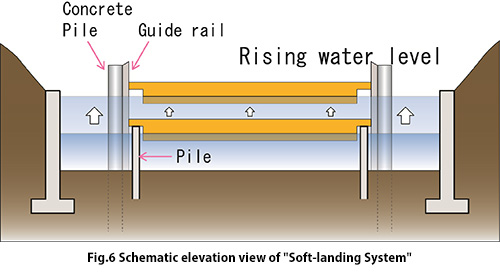 Schematic elevation view of  [Soft-landing System]